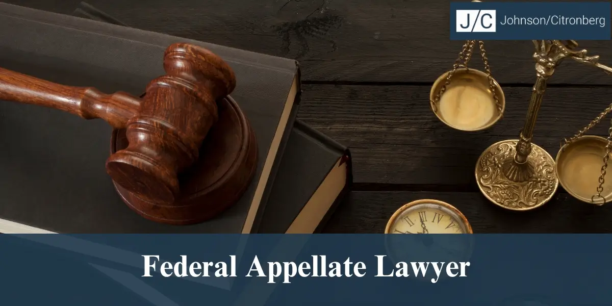 hire best federal appellate lawyer